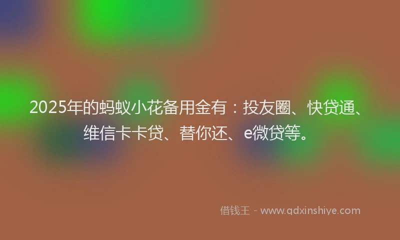 2025年的蚂蚁小花备用金有：投友圈、快贷通、维信卡卡贷、替你还、e微贷等。