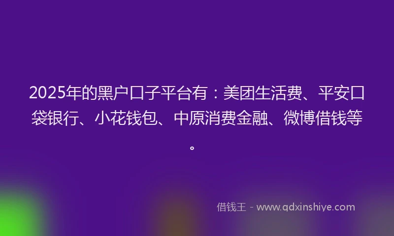 2025年的黑户口子平台有：美团生活费、平安口袋银行、小花钱包、中原消费金融、微博借钱等。