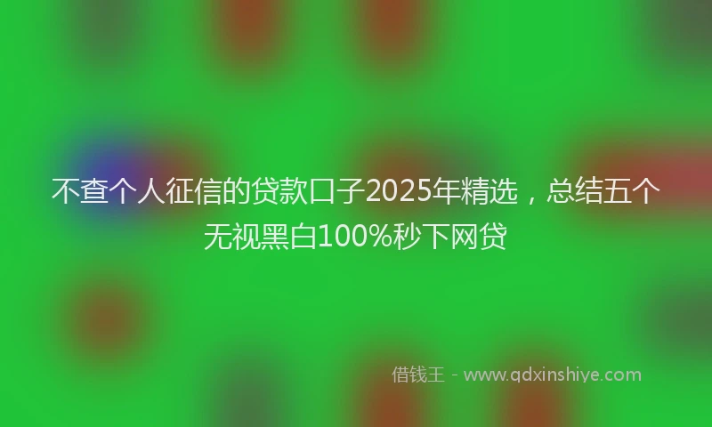 不查个人征信的贷款口子2025年精选，总结五个无视黑白100%秒下网贷