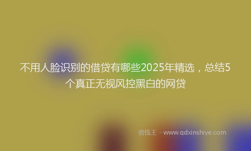 不用人脸识别的借贷有哪些2025年精选，总结5个真正无视风控黑白的网贷