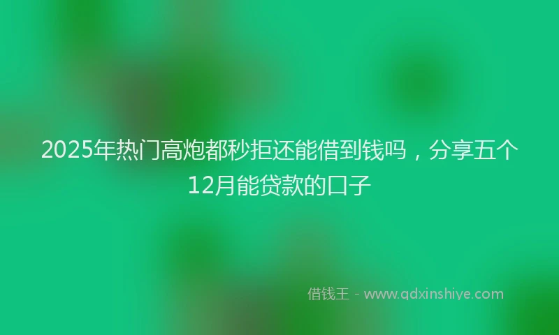 2025年热门高炮都秒拒还能借到钱吗，分享五个12月能贷款的口子