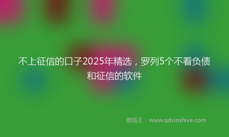 不上征信的口子2025年精选，罗列5个不看负债和征信的软件