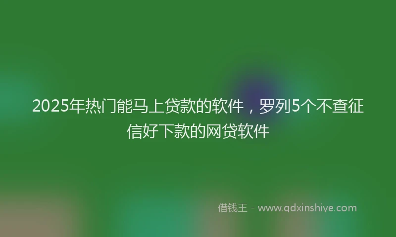 2025年热门能马上贷款的软件，罗列5个不查征信好下款的网贷软件