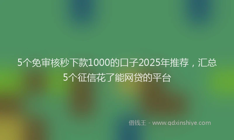 5个免审核秒下款1000的口子2025年推荐，汇总5个征信花了能网贷的平台