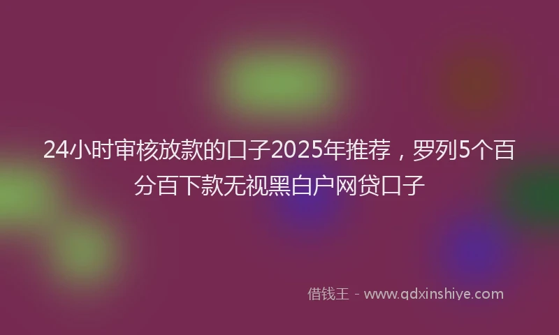 24小时审核放款的口子2025年推荐，罗列5个百分百下款无视黑白户网贷口子