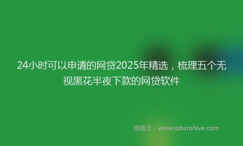 24小时可以申请的网贷2025年精选，梳理五个无视黑花半夜下款的网贷软件