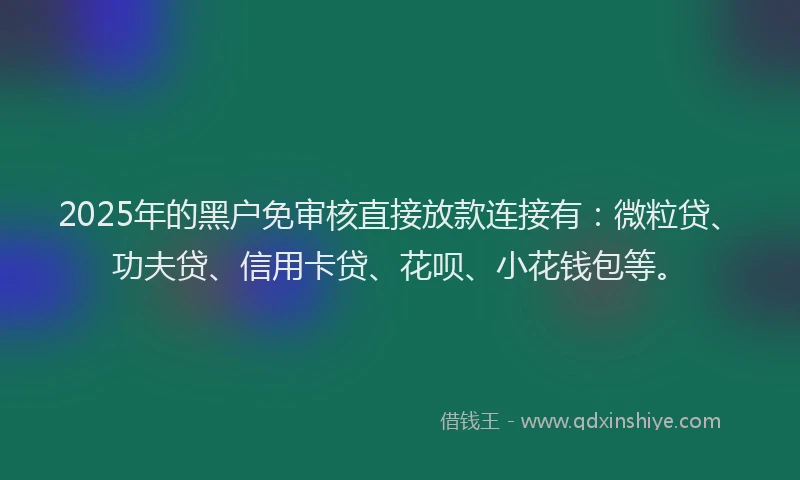 2025年的黑户免审核直接放款连接有：微粒贷、功夫贷、信用卡贷、花呗、小花钱包等。