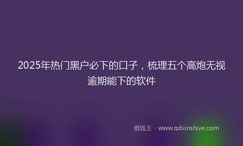 2025年热门黑户必下的口子，梳理五个高炮无视逾期能下的软件