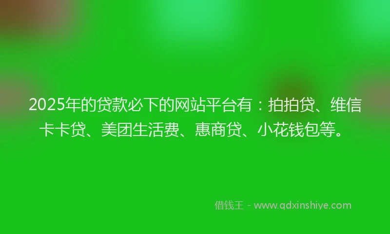 2025年的贷款必下的网站平台有：拍拍贷、维信卡卡贷、美团生活费、惠商贷、小花钱包等。