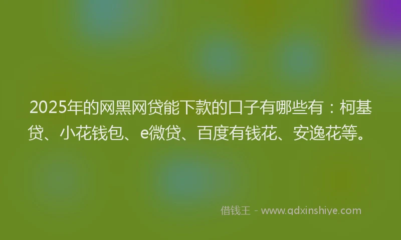 2025年的网黑网贷能下款的口子有哪些有：柯基贷、小花钱包、e微贷、百度有钱花、安逸花等。