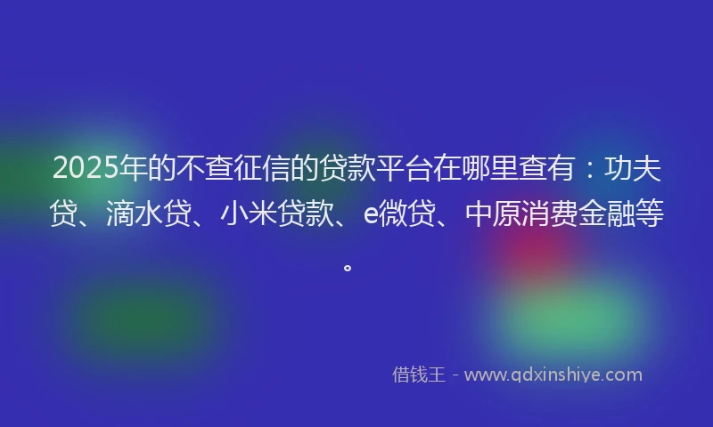 2025年的不查征信的贷款平台在哪里查有：功夫贷、滴水贷、小米贷款、e微贷、中原消费金融等。