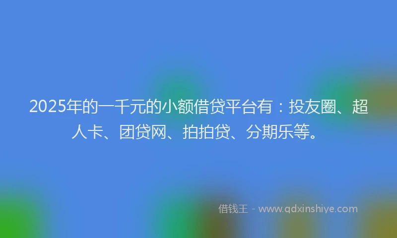 2025年的一千元的小额借贷平台有：投友圈、超人卡、团贷网、拍拍贷、分期乐等。