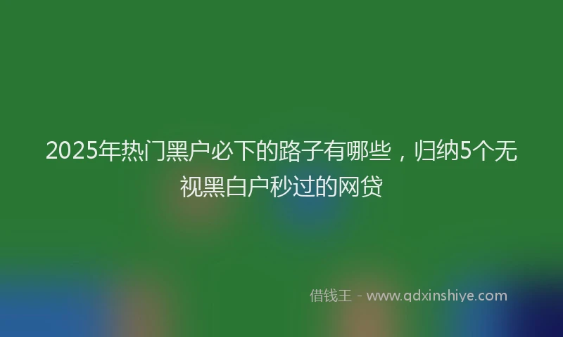2025年热门黑户必下的路子有哪些，归纳5个无视黑白户秒过的网贷