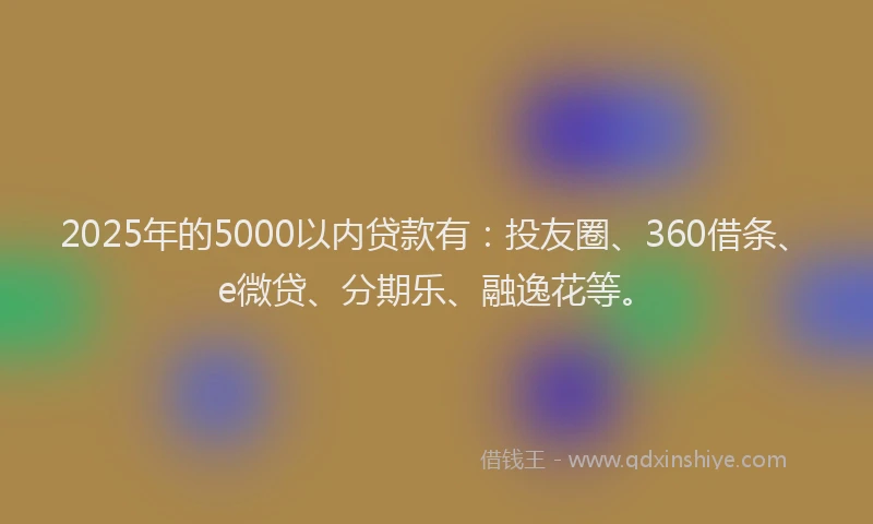 2025年的5000以内贷款有：投友圈、360借条、e微贷、分期乐、融逸花等。