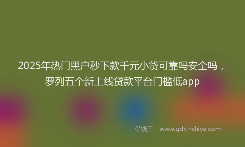 2025年热门黑户秒下款千元小贷可靠吗安全吗，罗列五个新上线贷款平台门槛低app