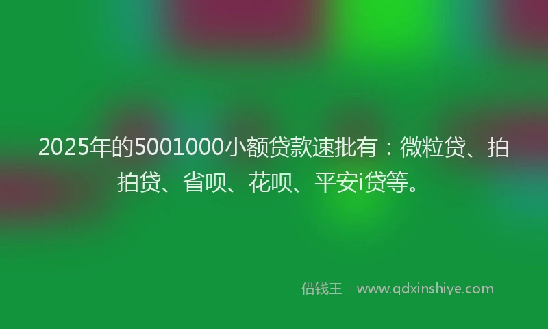 2025年的5001000小额贷款速批有：微粒贷、拍拍贷、省呗、花呗、平安i贷等。