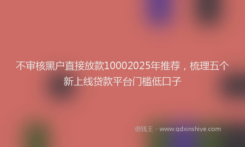 不审核黑户直接放款10002025年推荐，梳理五个新上线贷款平台门槛低口子