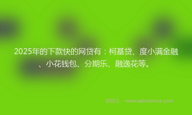 2025年的下款快的网贷有：柯基贷、度小满金融、小花钱包、分期乐、融逸花等。