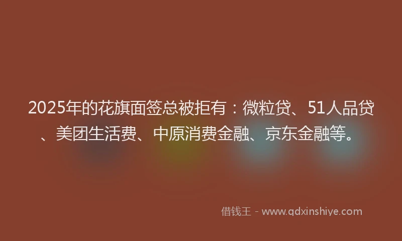 2025年的花旗面签总被拒有：微粒贷、51人品贷、美团生活费、中原消费金融、京东金融等。