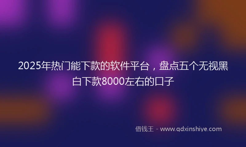 2025年热门能下款的软件平台，盘点五个无视黑白下款8000左右的口子