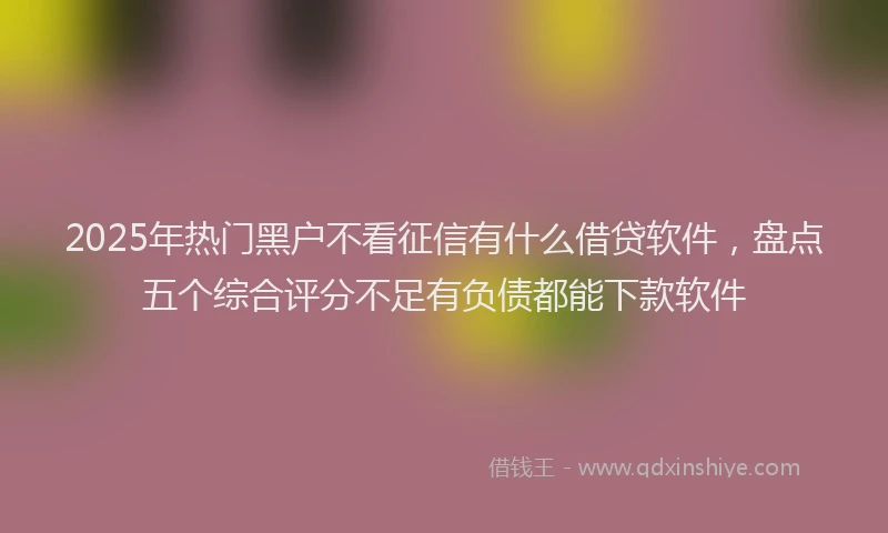 2025年热门黑户不看征信有什么借贷软件，盘点五个综合评分不足有负债都能下款软件