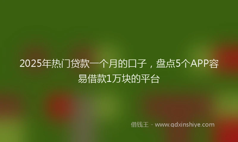 2025年热门贷款一个月的口子，盘点5个APP容易借款1万块的平台
