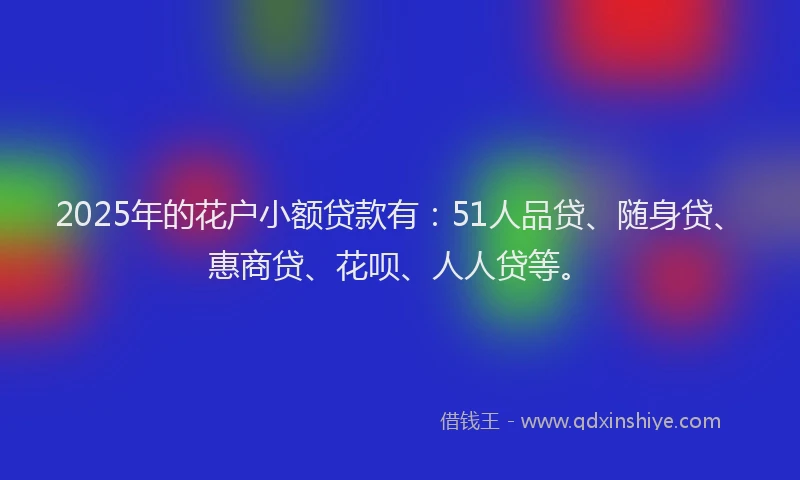 2025年的花户小额贷款有：51人品贷、随身贷、惠商贷、花呗、人人贷等。