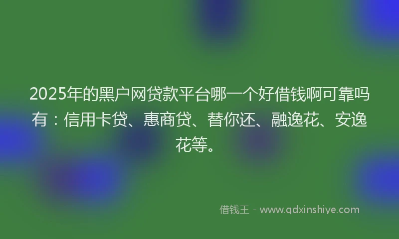 2025年的黑户网贷款平台哪一个好借钱啊可靠吗有：信用卡贷、惠商贷、替你还、融逸花、安逸花等。