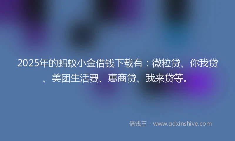 2025年的蚂蚁小金借钱下载有：微粒贷、你我贷、美团生活费、惠商贷、我来贷等。