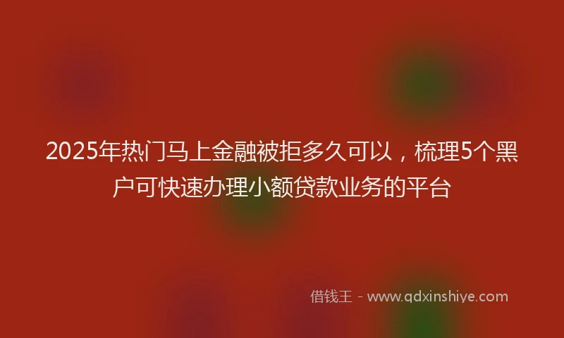 2025年热门马上金融被拒多久可以，梳理5个黑户可快速办理小额贷款业务的平台