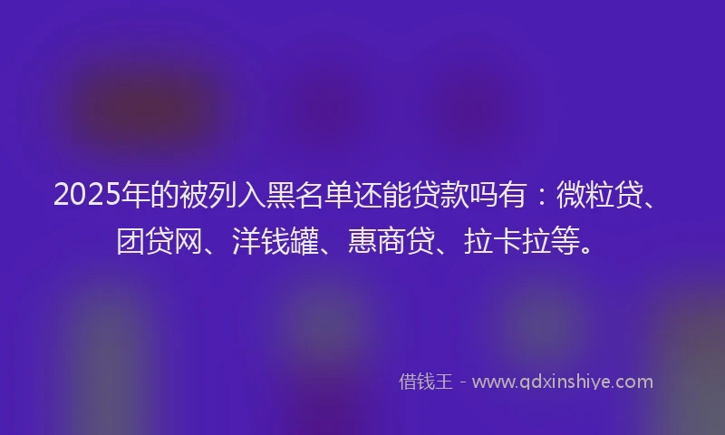 2025年的被列入黑名单还能贷款吗有：微粒贷、团贷网、洋钱罐、惠商贷、拉卡拉等。