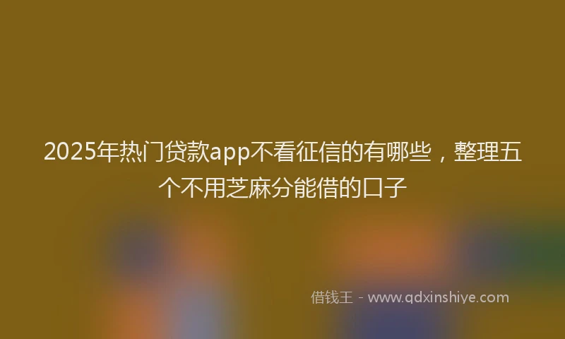 2025年热门贷款app不看征信的有哪些，整理五个不用芝麻分能借的口子