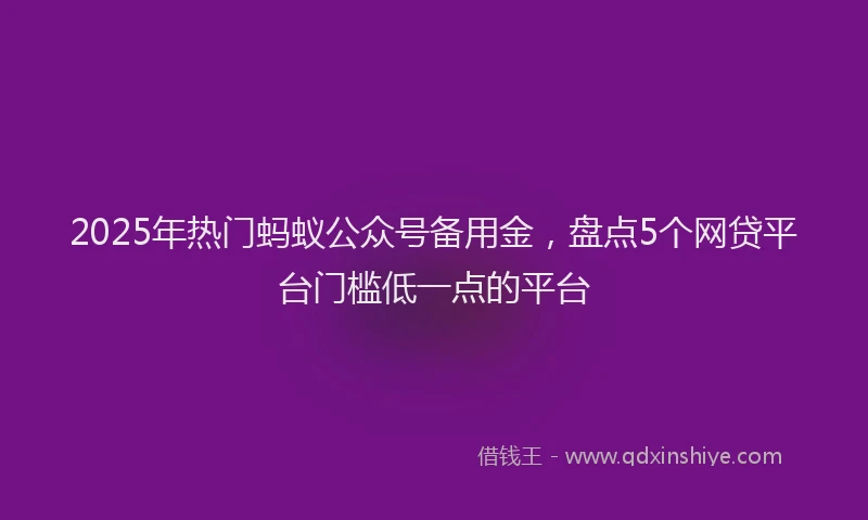 2025年热门蚂蚁公众号备用金，盘点5个网贷平台门槛低一点的平台