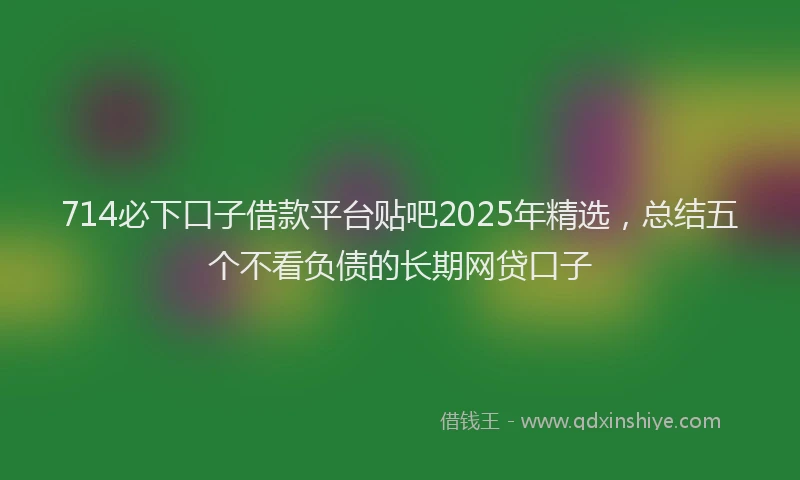 714必下口子借款平台贴吧2025年精选，总结五个不看负债的长期网贷口子