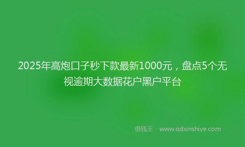 2025年高炮口子秒下款最新1000元，盘点5个无视逾期大数据花户黑户平台