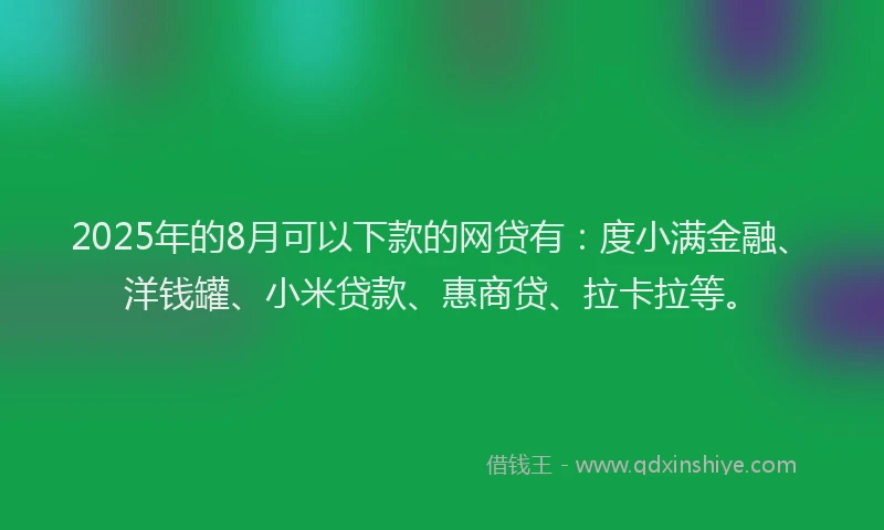 2025年的8月可以下款的网贷有：度小满金融、洋钱罐、小米贷款、惠商贷、拉卡拉等。