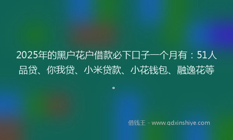 2025年的黑户花户借款必下口子一个月有：51人品贷、你我贷、小米贷款、小花钱包、融逸花等。