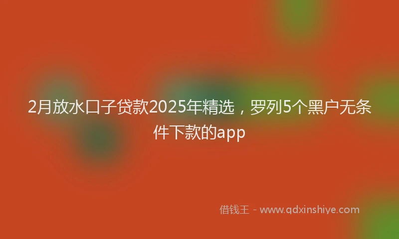 2月放水口子贷款2025年精选，罗列5个黑户无条件下款的app