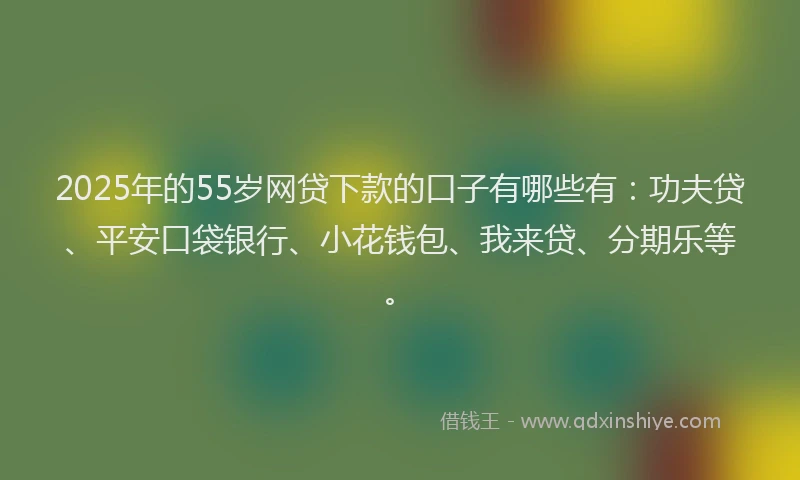 2025年的55岁网贷下款的口子有哪些有：功夫贷、平安口袋银行、小花钱包、我来贷、分期乐等。