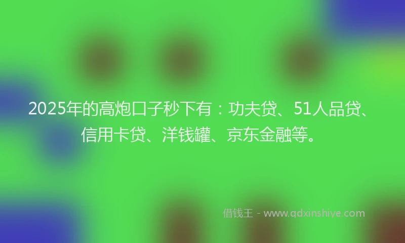 2025年的高炮口子秒下有：功夫贷、51人品贷、信用卡贷、洋钱罐、京东金融等。