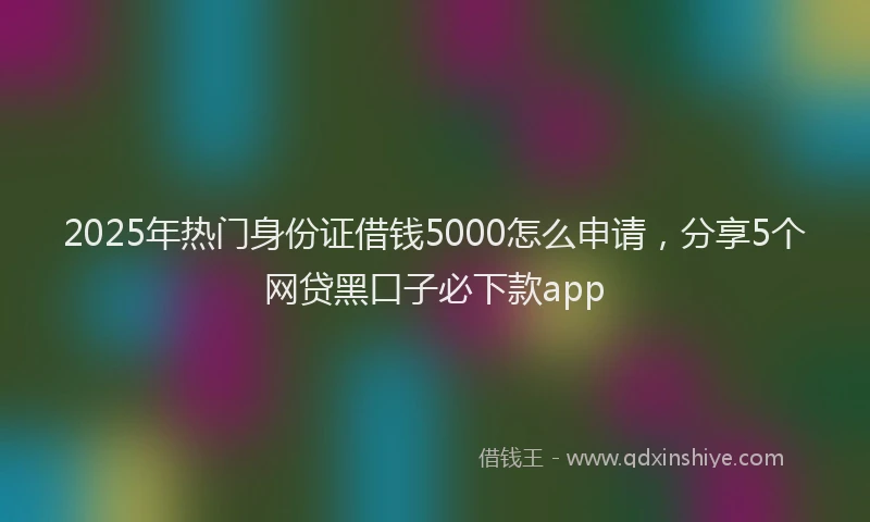 2025年热门身份证借钱5000怎么申请，分享5个网贷黑口子必下款app