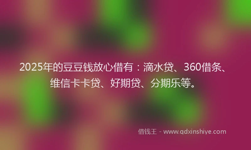 2025年的豆豆钱放心借有：滴水贷、360借条、维信卡卡贷、好期贷、分期乐等。