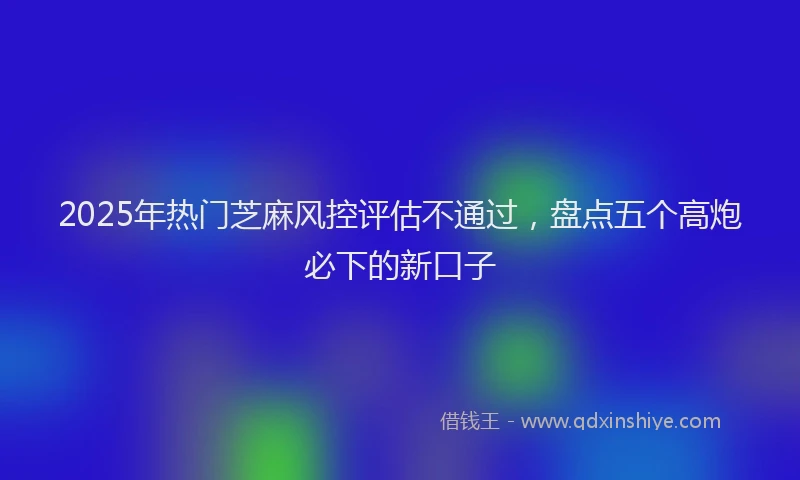 2025年热门芝麻风控评估不通过，盘点五个高炮必下的新口子