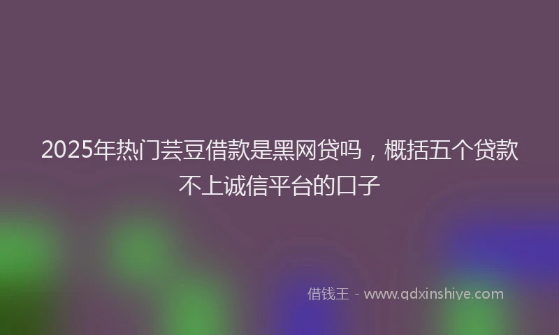 2025年热门芸豆借款是黑网贷吗，概括五个贷款不上诚信平台的口子