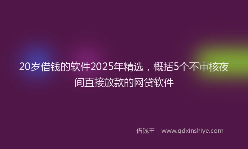 20岁借钱的软件2025年精选，概括5个不审核夜间直接放款的网贷软件