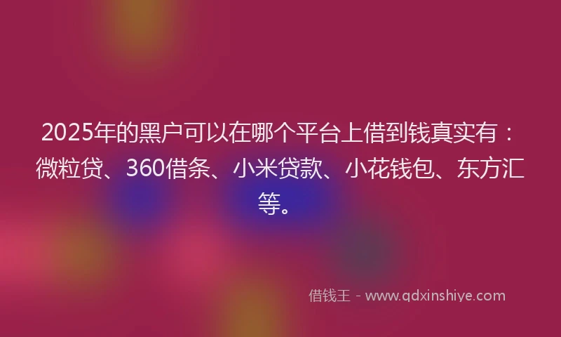 2025年的黑户可以在哪个平台上借到钱真实有：微粒贷、360借条、小米贷款、小花钱包、东方汇等。