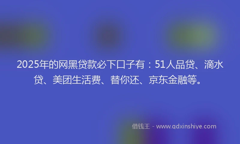 2025年的网黑贷款必下口子有：51人品贷、滴水贷、美团生活费、替你还、京东金融等。