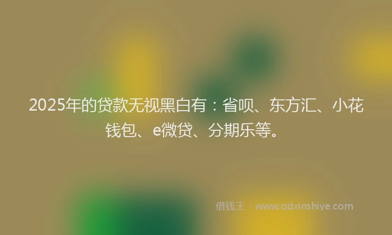 2025年的贷款无视黑白有：省呗、东方汇、小花钱包、e微贷、分期乐等。
