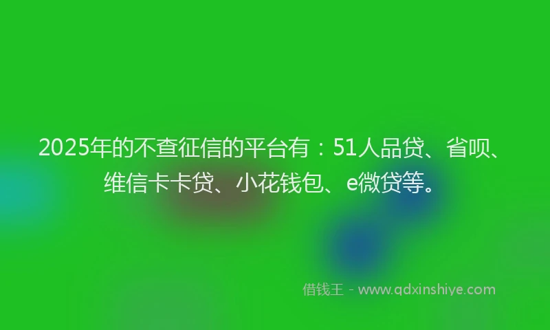 2025年的不查征信的平台有：51人品贷、省呗、维信卡卡贷、小花钱包、e微贷等。
