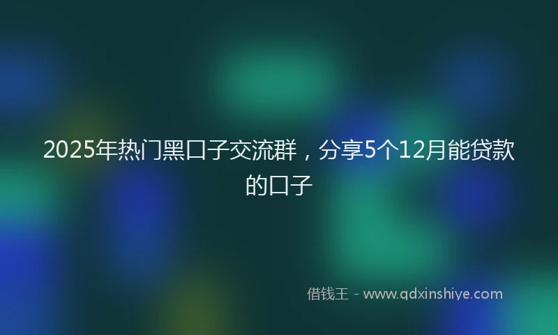 2025年热门黑口子交流群，分享5个12月能贷款的口子